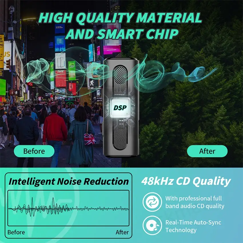 Portable Wireless Mic