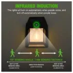 Eco-Friendly Outdoor Solar Lamp with Motion Detection.