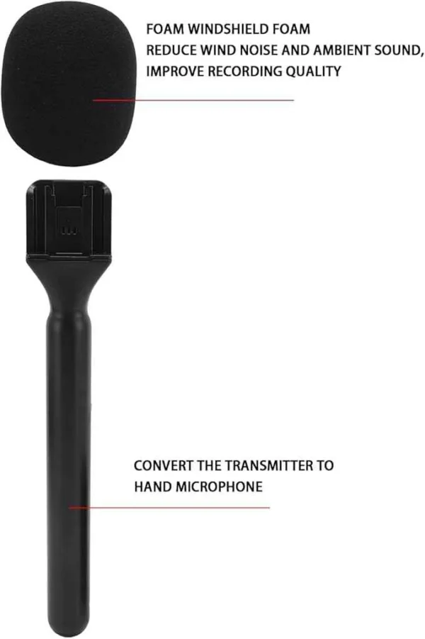 Dual Wireless Lavalier Microphone for Interviews