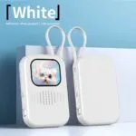 Dual Function Power Bank with Screen