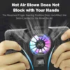 Real-Time Temp Display Phone Radiator