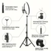 10 Inch LED Ring Light for Makeup and Vlogging