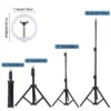 Portable LED Ring Light with Earbuds