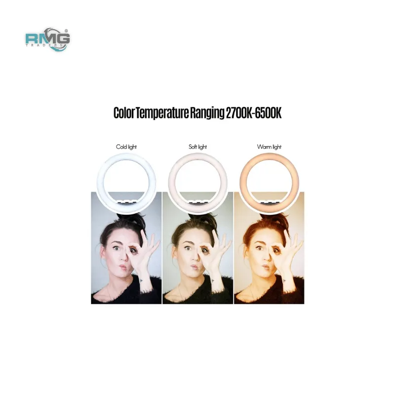 45CM LED Light with Remote and Phone Setup