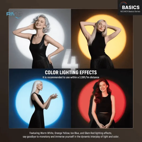 Snoot light with 4 color filters