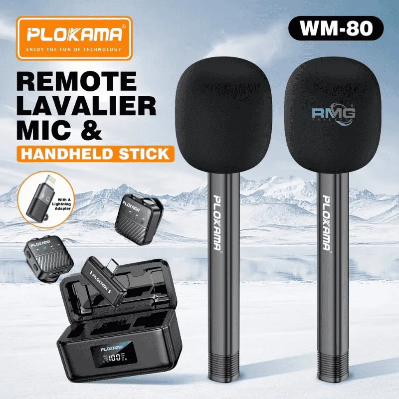 lav mic with handheld stick WM-80