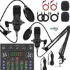 The Candc Professional Dual Studio Condenser Microphone Bundle