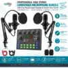 Candc Professional Dual Studio Condenser Microphone